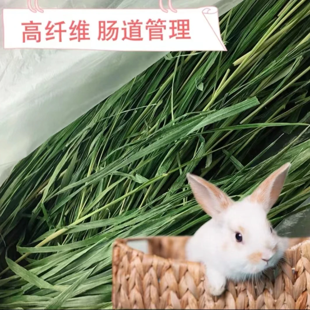 24年新提摩西晒干【岷县直发】兔子干草优质嫩绿