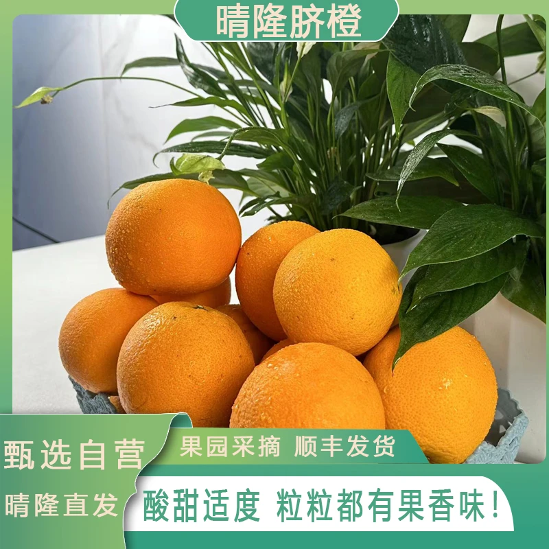 【礼盒装中果8斤】正宗晴隆脐橙酸甜可口果汁充足礼盒包装顺丰包邮