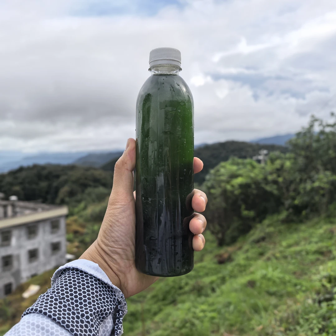 【阿海寻蜂记】百家集合选出金环诱蜂水