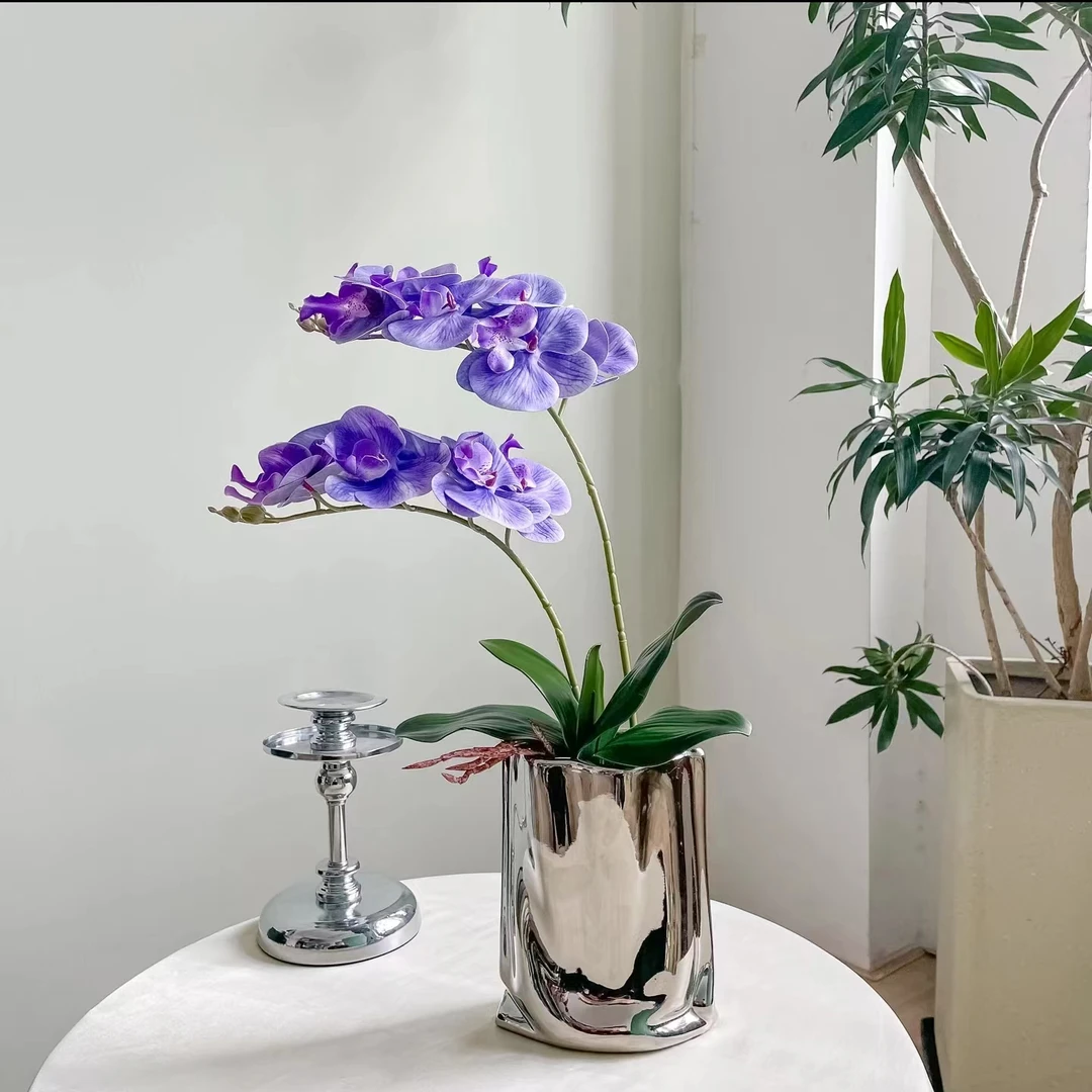【zy紫嫣】紫蝶盆栽仿真蝴蝶兰手感3D高档客厅餐厅摆设茶几道具装饰