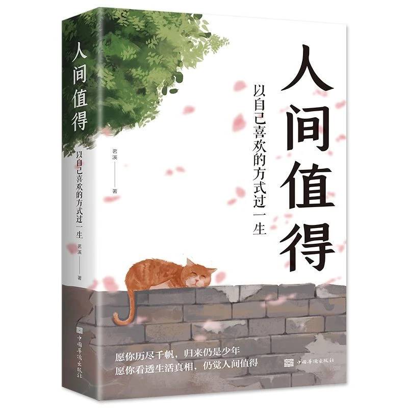 人间值得(以自己喜欢的方式过一生)茗溪励志与成功 青春文学