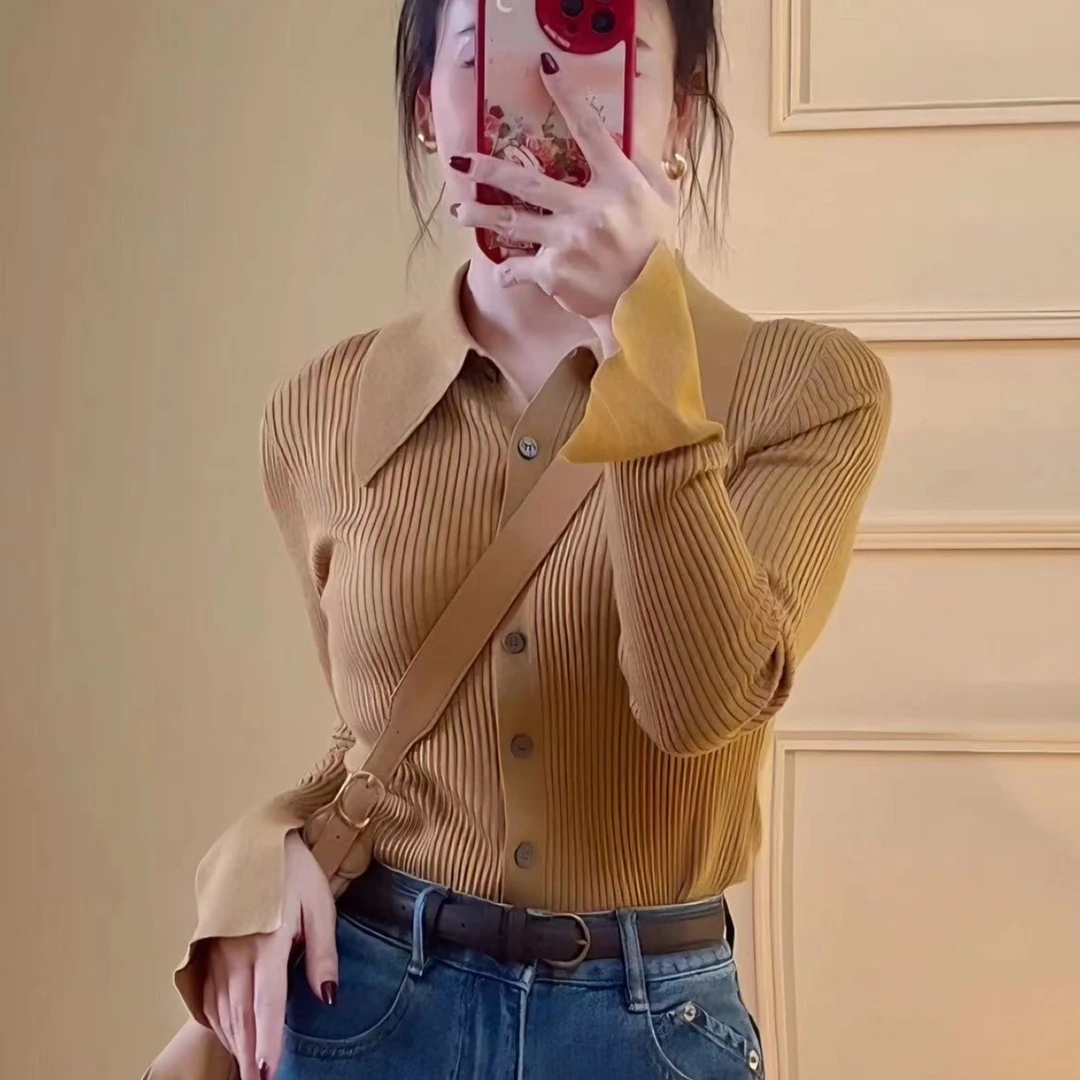 李羽竺LZY定制【美拉德】羊毛衫早春polo领百搭修身显瘦打底针织