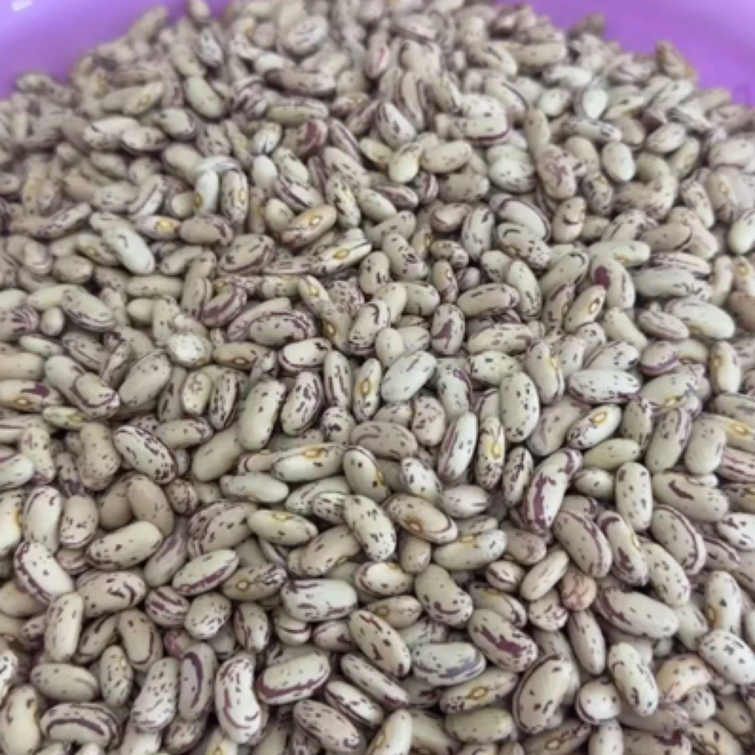 东北 农村奶白花饭豆 5斤