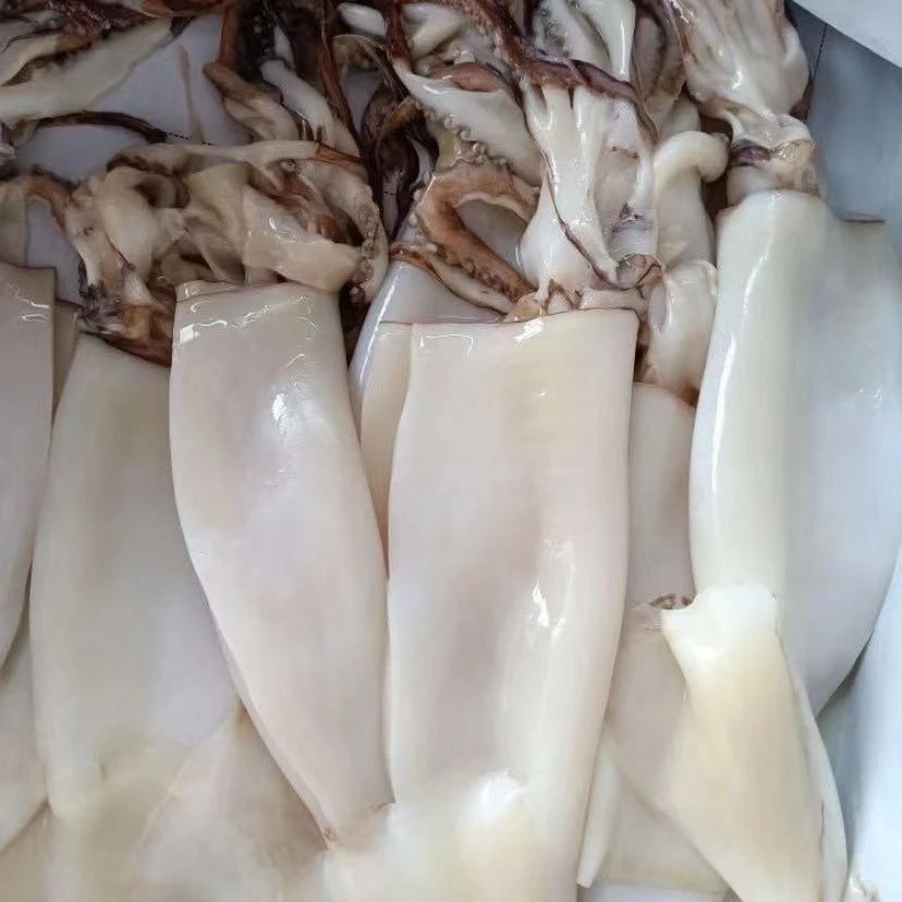 免清理去内脏鱿鱼3斤5斤6斤美味新鲜红烧顺丰野生整只烧烤辣炒