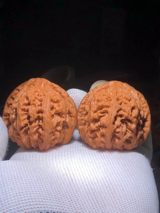 49尺头货满肉大粗筋文玩核桃