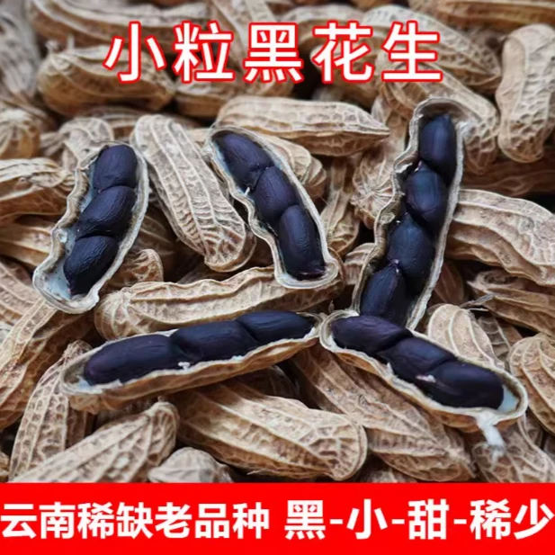 籽种拍三送一山东高产薄壳黑带壳花生米孑子大粒