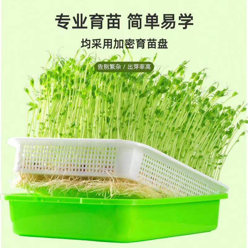 芽苗菜育苗托盘豆芽发芽盆豆苗种植无土栽培设备水培蔬菜芽菜小麦