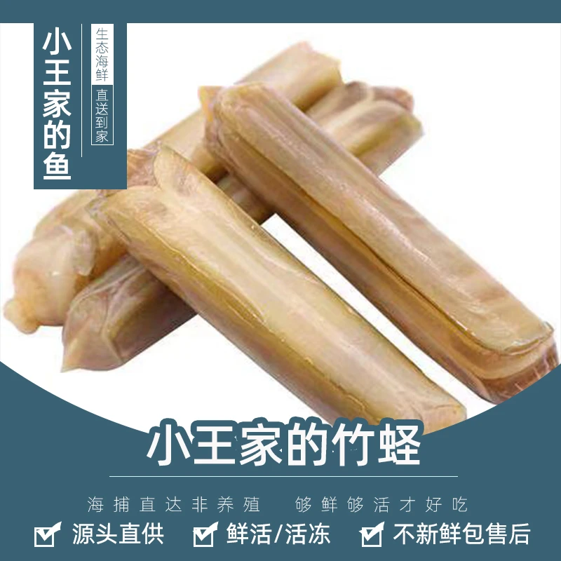 【活鲜】小王家的竹蛏