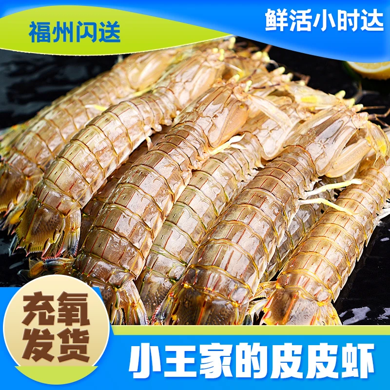 鲜活皮皮虾  500g