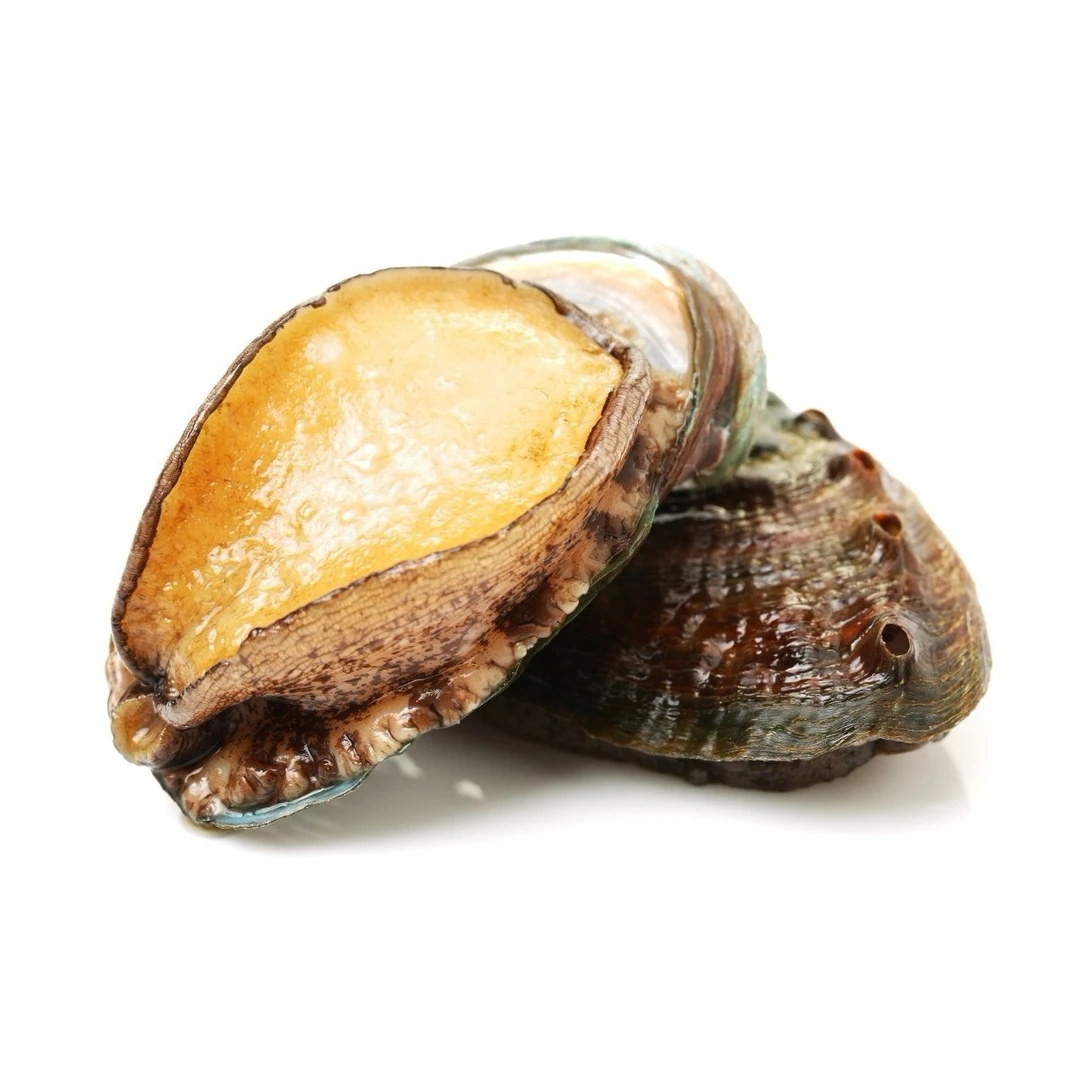 新鲜鲍鱼 10个/250g