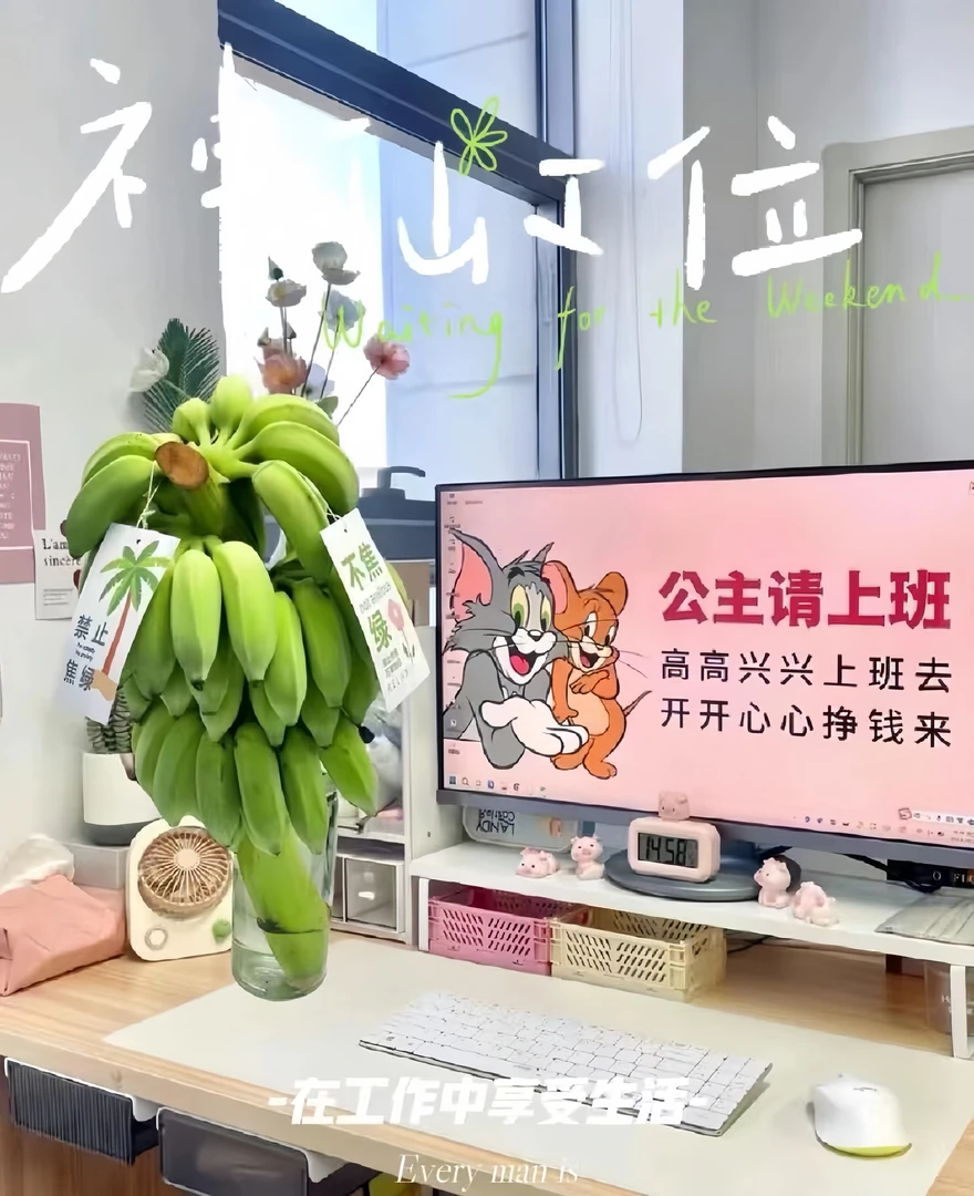 【禁止蕉绿】办公室水培香蕉禁止焦虑贩卖焦虑可以吃的水培植物