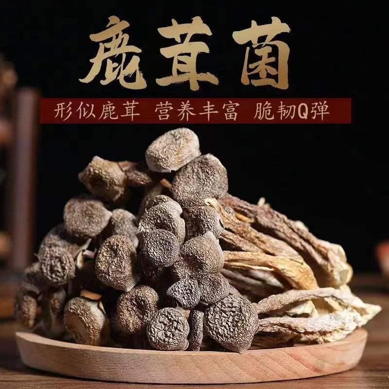 【小丽精选】鹿茸菇脆脆菇精品干货煲汤美食美味营养甄选香味浓郁