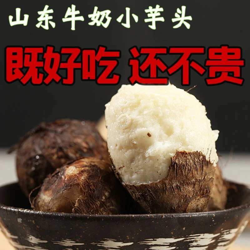2025年新山东自然毛芋头新鲜芋艿牛奶小芋头芋奶油香芋粉糯香糯
