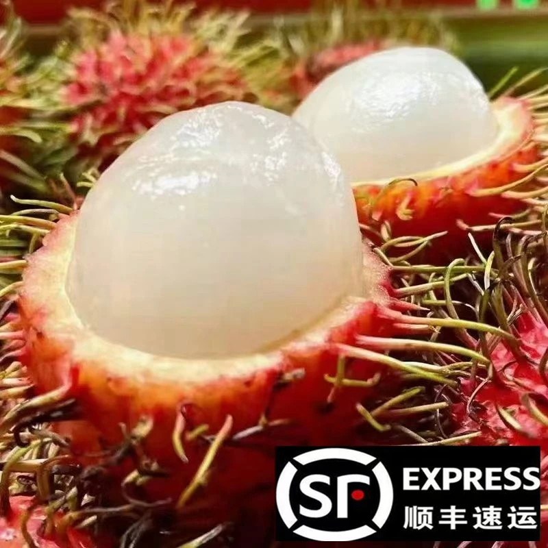 【顺丰包邮】红毛丹 水果毛荔枝现摘现发热带当季水果批发0.5-5斤