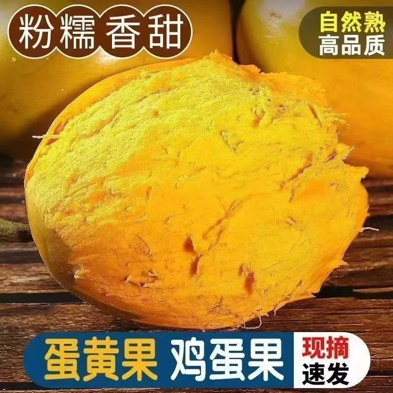 鸡蛋果 新鲜蛋黄果 热带罕见应季水果粉糯香甜 产地直发1-5斤包邮