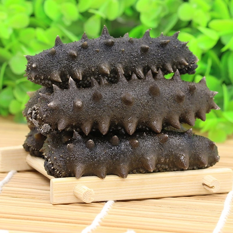 【小瑕疵款】大连大火候半干拉缸盐海参500g非即食海参营养