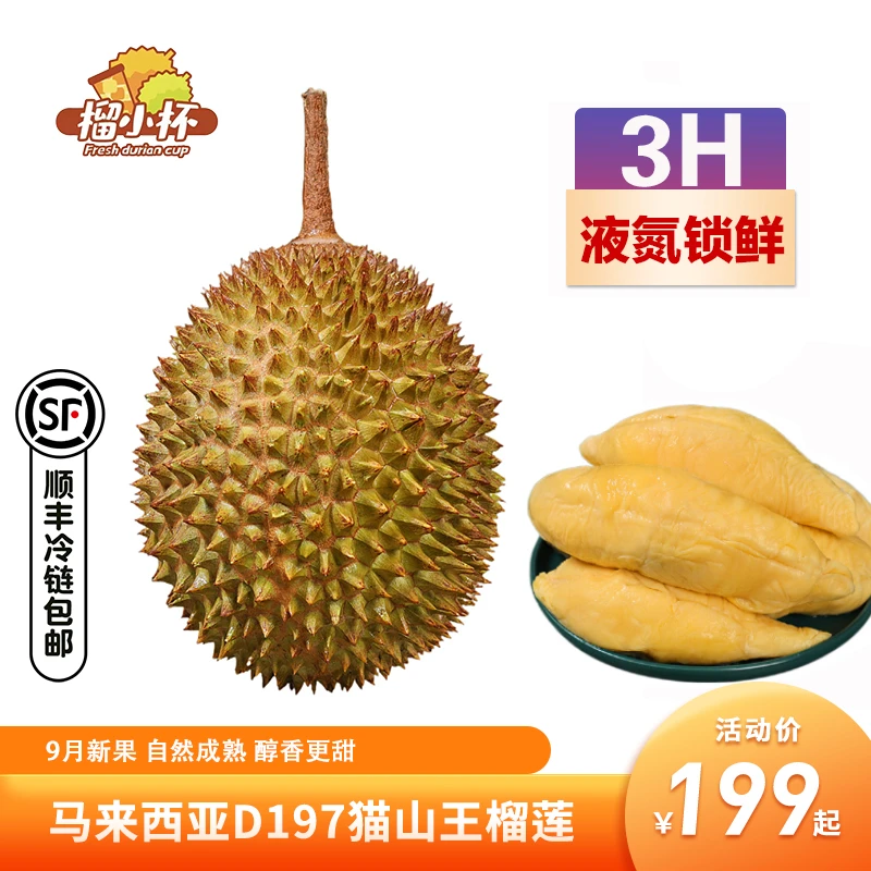 【榴小杯】AA保5房/A保4房马来西亚猫山王榴莲D197液氮整粒顺丰包邮