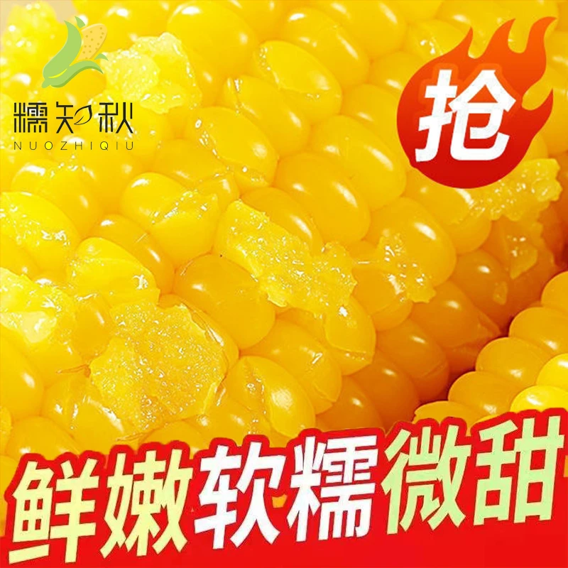 正宗东北大粘糯玉米新鲜甜糯玉米棒低脂代餐早餐粗粮主食8根2.2kg