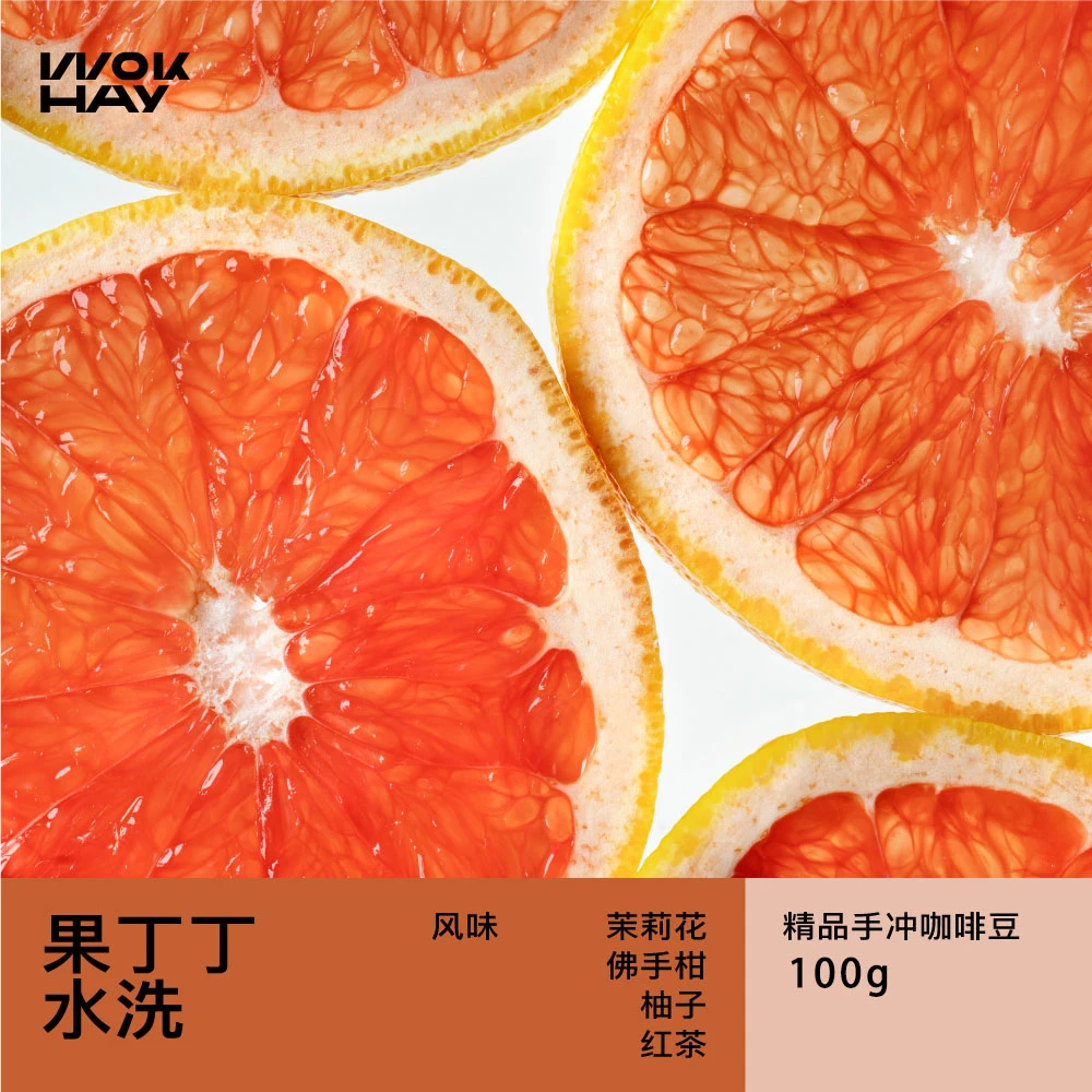 WokHay 果丁丁水洗浅烘焙埃塞Gotiti花果香手冲茶感黑咖啡豆100g
