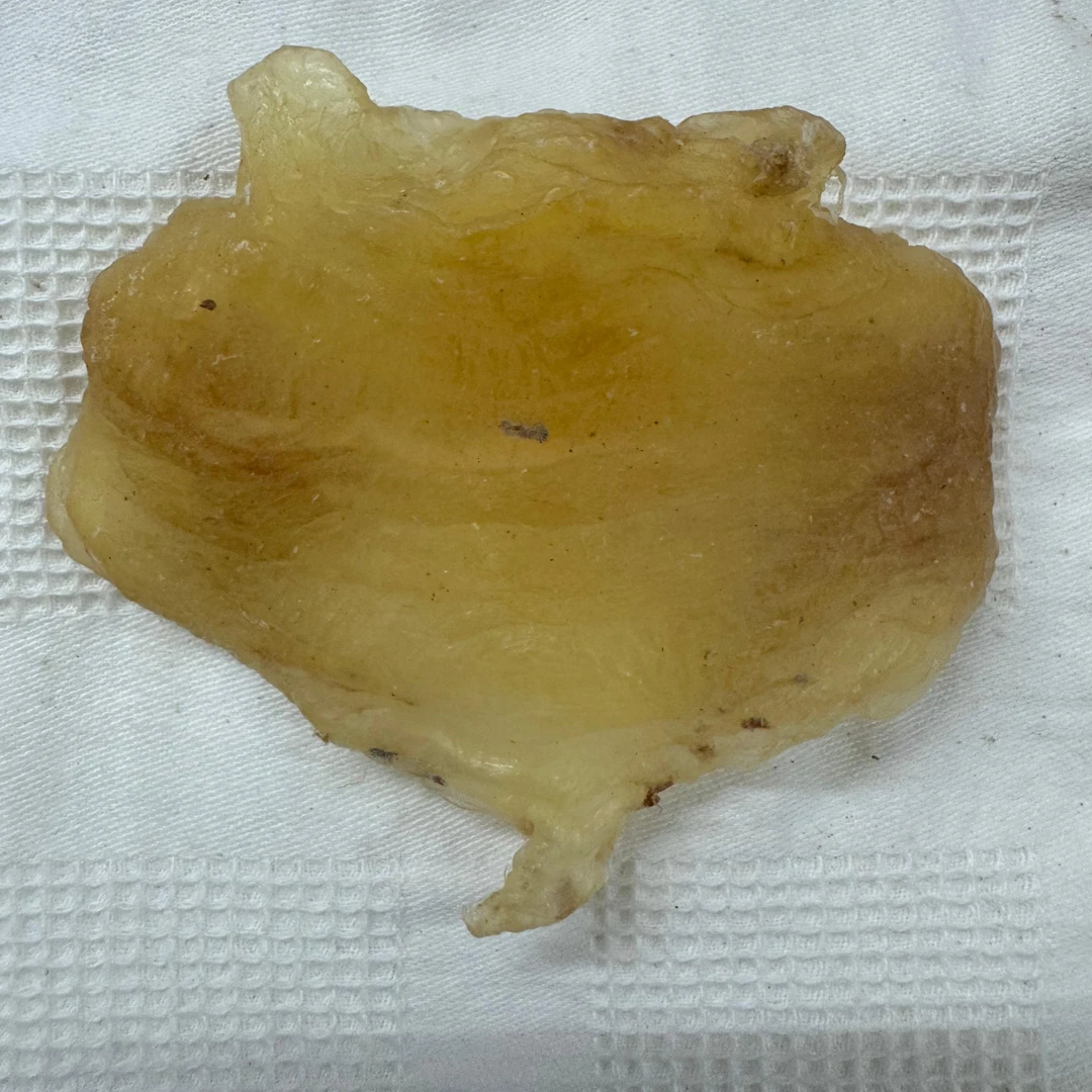 【裕琦鱼胶】红鸡赤嘴鰵鱼胶是深海鱼胶，没有污染，厚肉营养丰富。