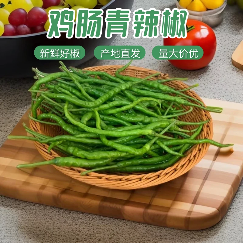新鲜鸡肠青青辣椒青海椒长辣子蔬菜