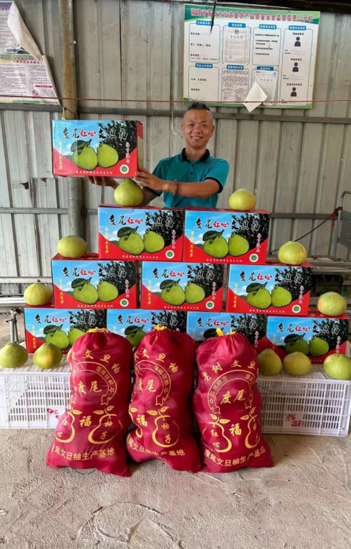 【正宗度尾老树文旦柚包邮】10斤精品礼盒装新鲜现摘果肉饱满多汗甜