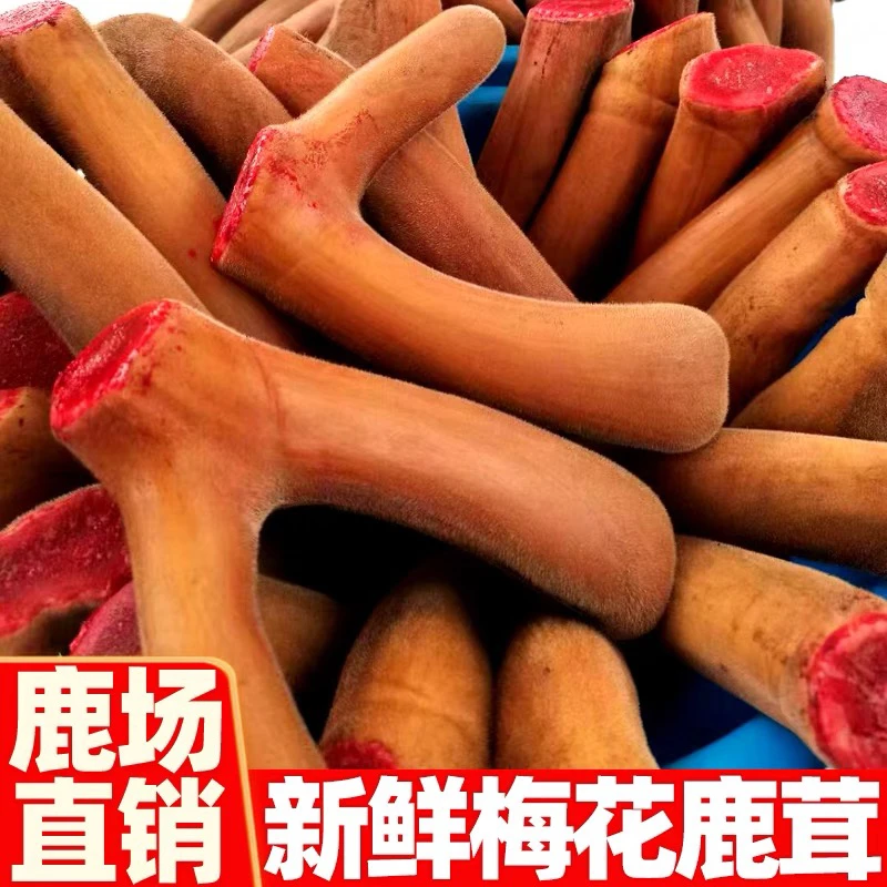 慧［改价链接］鲜整枝鹿茸选品以直播间为主