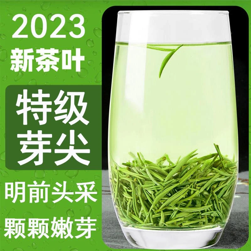毛尖茶叶2023年新茶信阳毛尖绿茶明前特级头采嫩芽浓香型简易包装