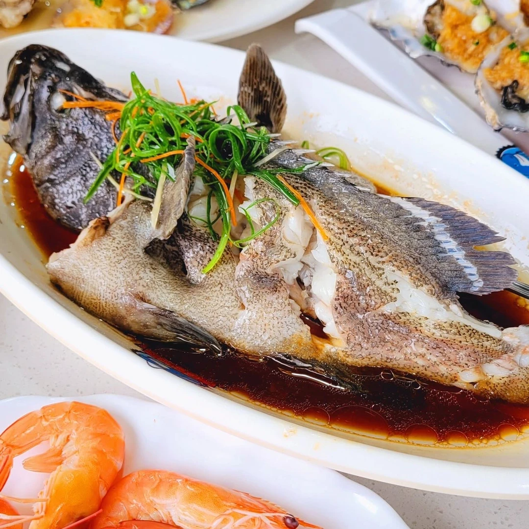 【京东冷链速运新疆包邮】青石斑金目鲈鱼750-800克/条*3