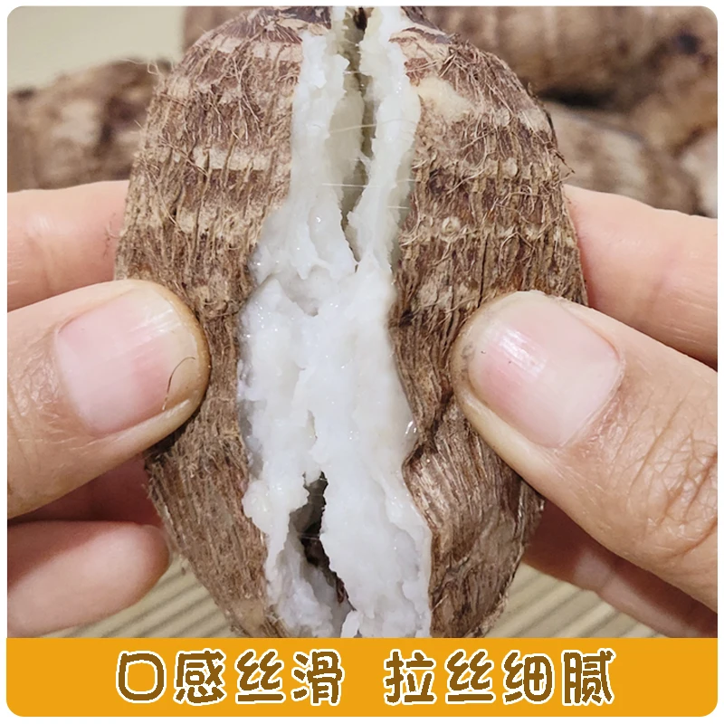 山东牛奶小芋头新鲜毛芋头1斤至5斤装品质产品精选口感细腻中大果