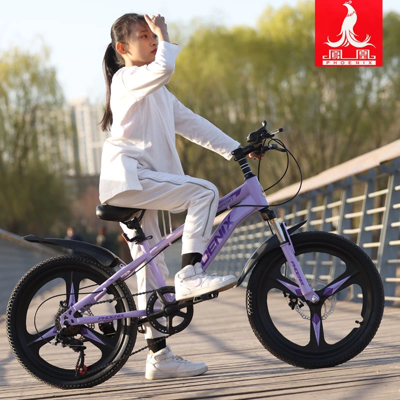 凤凰儿童自行车8-14岁中大童男女孩变速山地车碟刹骑行单车脚踏车