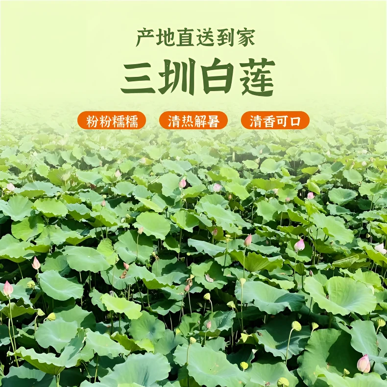 客家农夫通芯白莲干