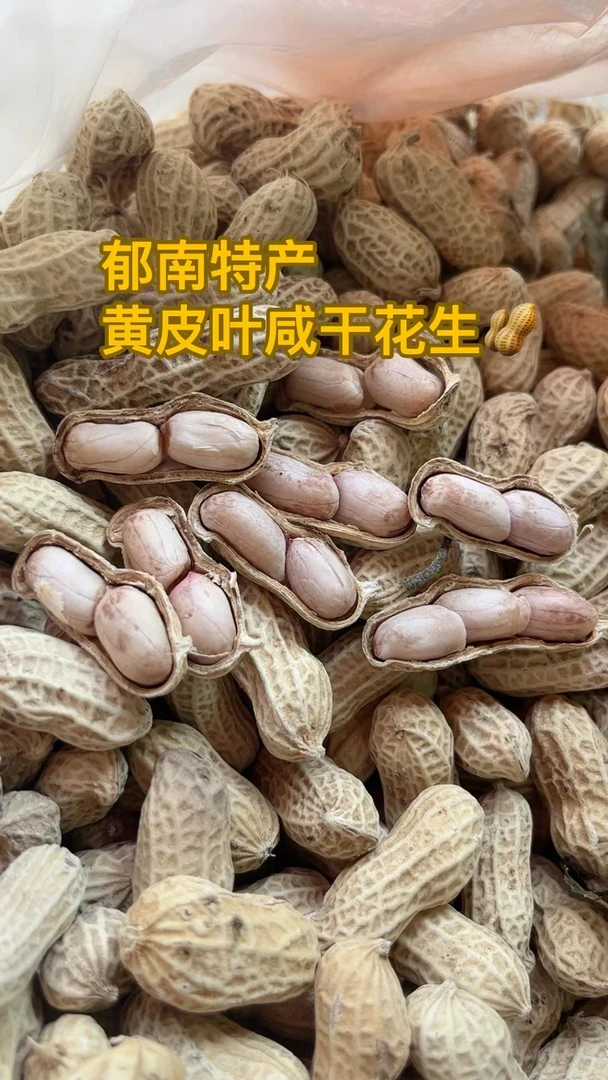 花生干纯手工太阳晒干黄皮叶咸干花生