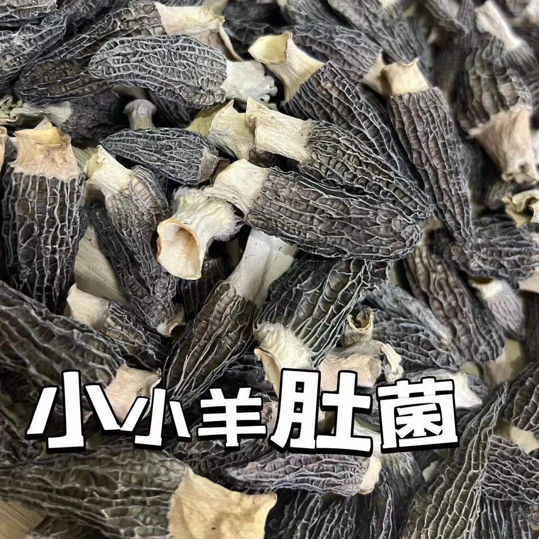 云南头茬羊肚菌干货羊肚菇煲汤食用菌干货精品羊肚菌节日礼品美味