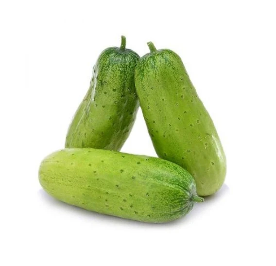 汉瓜/旱黄瓜500-600g（线上）