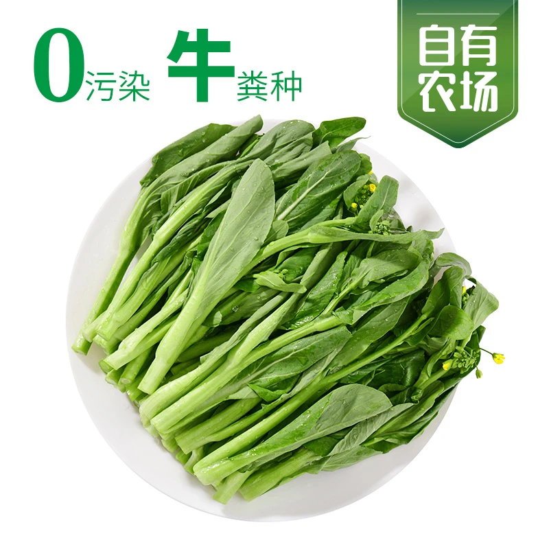 菜苔300g/份 武夷一方田