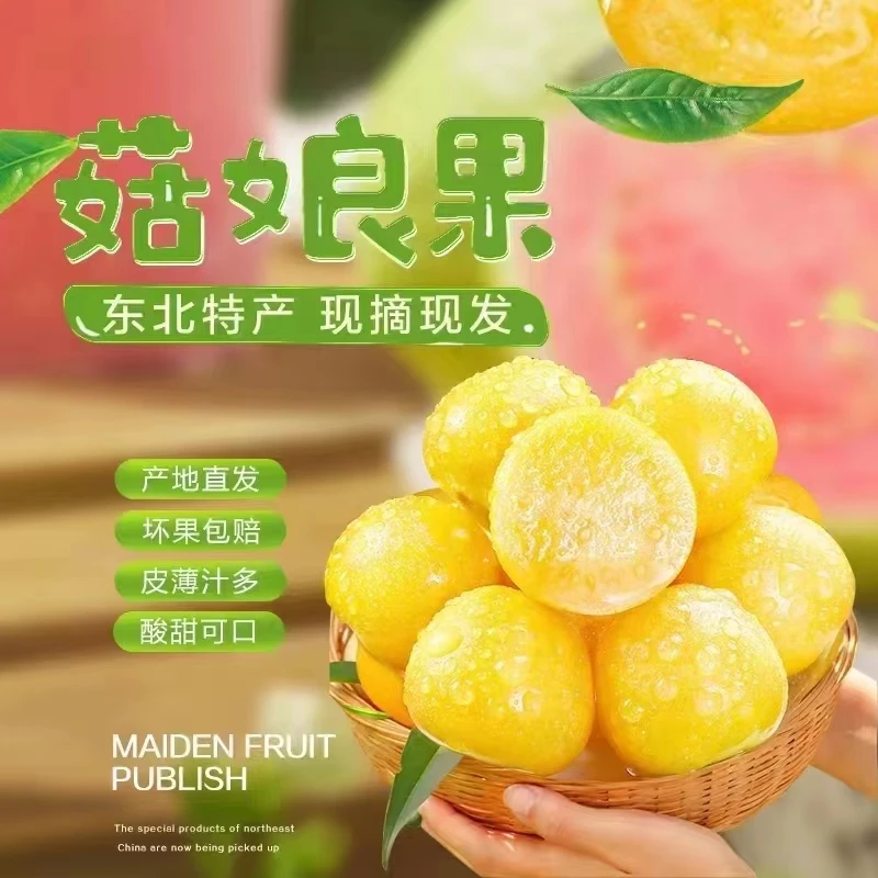 东北特产 菇娘果 灯笼果产地直发新鲜水果多汁鲜甜 当季水果4斤装
