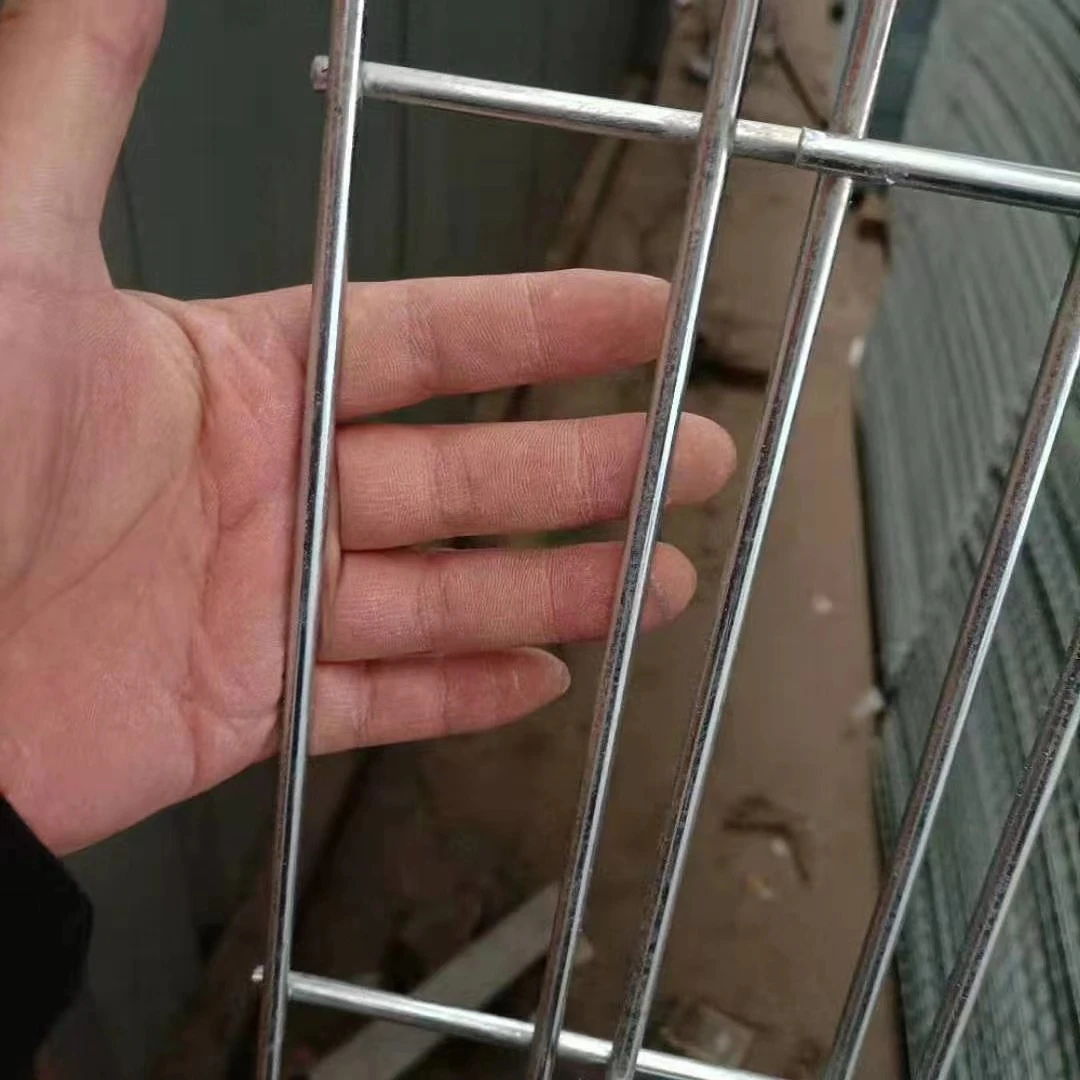 狗笼地网  网孔3×10公分 1米宽2米长