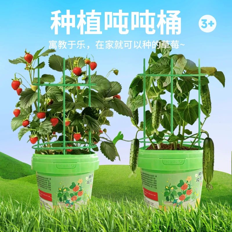 儿童种植草莓吨吨桶玩具 儿童diy攀爬种植蔬菜种子包套装