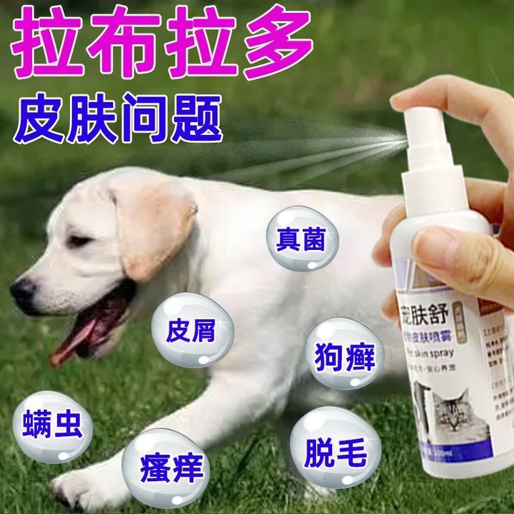 拉布拉多皮肤喷剂狗狗真菌感染湿疹螨虫狗癣脱毛皮屑止痒护理喷雾