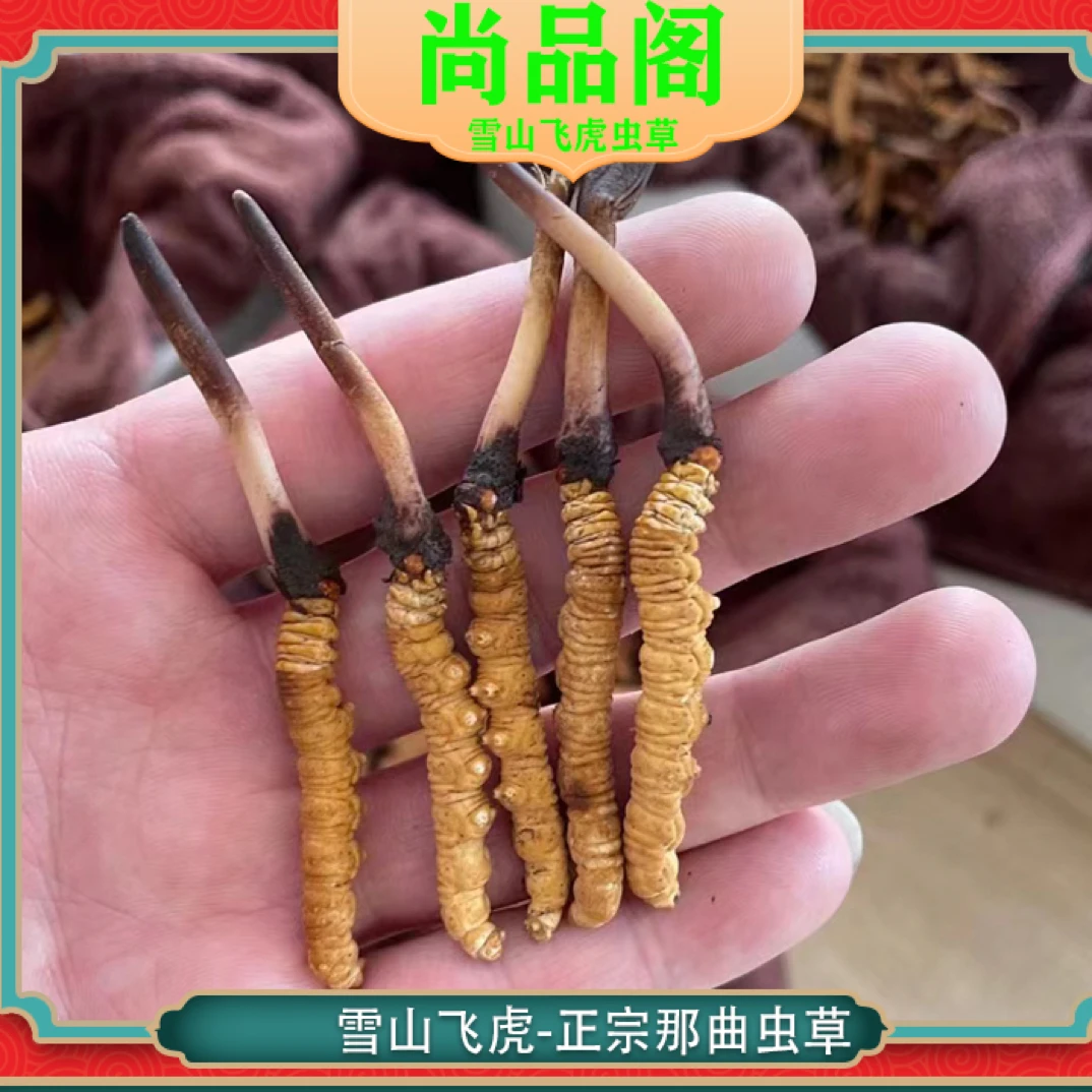 【尚品阁】1.2克/根 那曲玛如乡鲜草