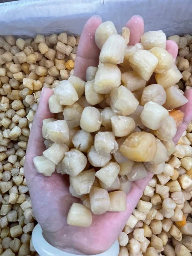 煲汤煮粥瑶柱干贝渔民自晒