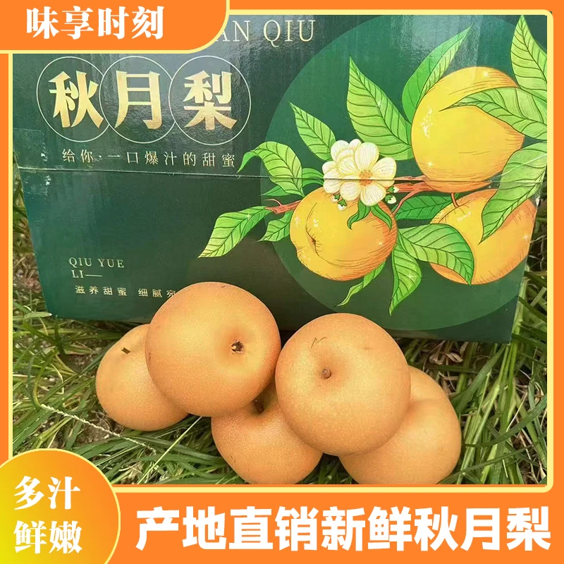 产地直销现摘现发秋月梨当季水果新鲜现摘净重4-4.5斤