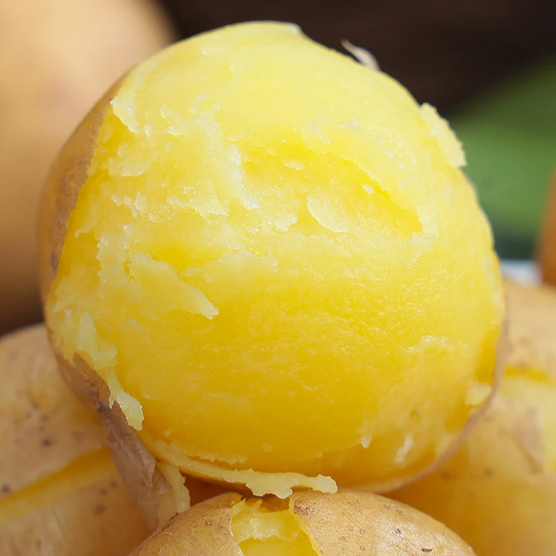 网红小土豆现挖农家新鲜黄心土豆5斤装应当季蔬菜迷你马铃薯洋芋