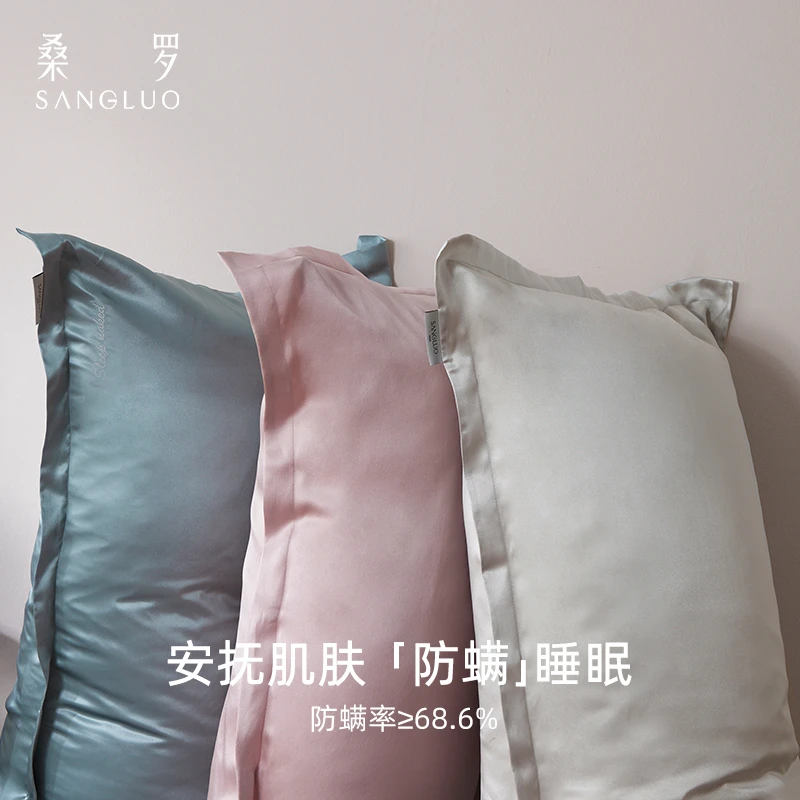 【100%桑蚕丝】桑罗真丝枕套丝滑柔软简约桑蚕丝02984450