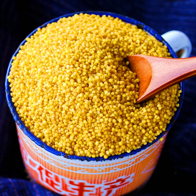 陕北黄小米1000g 陕西糯小米新米米脂农家特产油小米杂粮杂粮