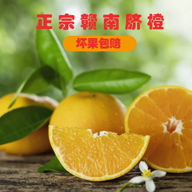 郭嫂专属正宗赣南脐橙/10斤
