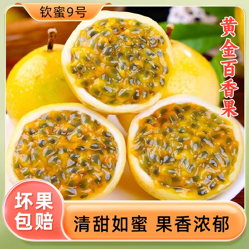 钦蜜9号黄金百香果新鲜水果孕妇原产地饱满多汁美味品质香甜种植