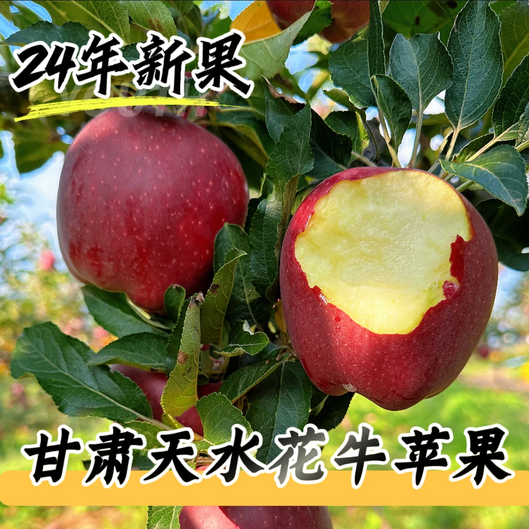 【2024年新果】正宗甘肃花牛苹果脆粉两吃新鲜应季水果多仓发货MQW