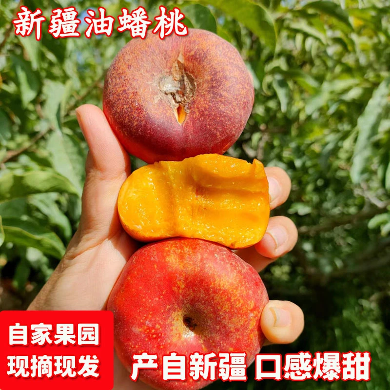 自家果园新疆黄肉油蟠桃新鲜水果甜桃子蟠桃现摘现发空运包邮